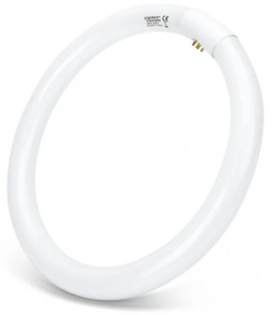 CIRCOLINA 32W T9 AC230V 6500K FLUORESCENTE AIGO 2100LM #392E