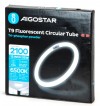 CIRCOLINA 32W T9 AC230V 6500K FLUORESCENTE AIGO 2100LM #392E